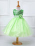 Mesh Paggy Dress